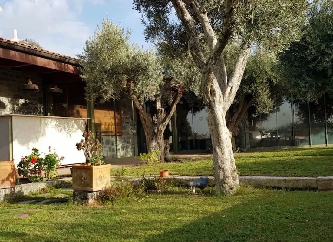 Garden area